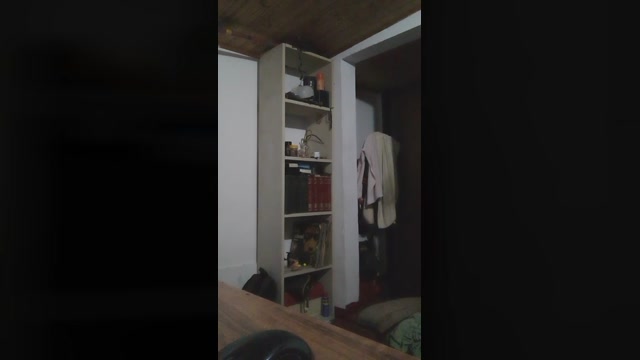 eljavi2  07-04-2023